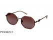 Смотреть фото Kaizi Polarized 31802 C3-11017