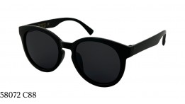 Havvs polarized 58072 (11076) C88