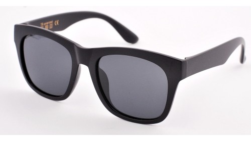 Havvs polarized 58055 (4246) C88
